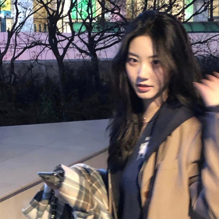 汽车女窃贼